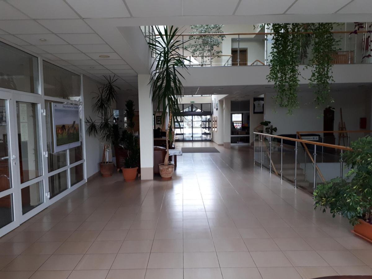 Pan Dom Pracy Tworczej W Wierzbie Wierzba Buitenkant foto