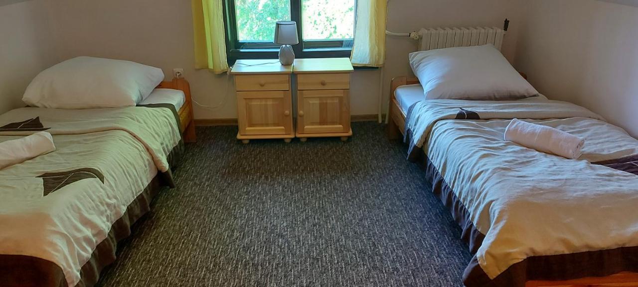 Pan Dom Pracy Tworczej W Wierzbie Wierzba Buitenkant foto